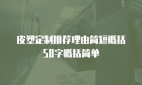 皮塑定制推荐理由简短概括50字概括简单