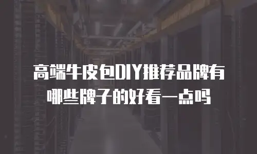 高端牛皮包DIY推荐品牌有哪些牌子的好看一点吗