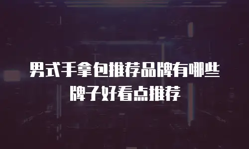 男式手拿包推荐品牌有哪些牌子好看点推荐