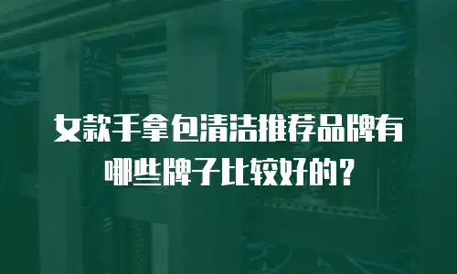 女款手拿包清洁推荐品牌有哪些牌子比较好的？