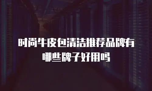 时尚牛皮包清洁推荐品牌有哪些牌子好用吗