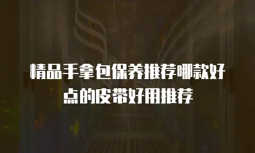 精品手拿包保养推荐哪款好点的皮带好用推荐