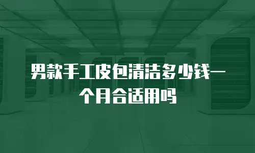 男款手工皮包清洁多少钱一个月合适用吗