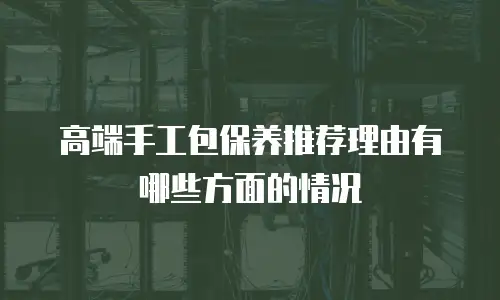 高端手工包保养推荐理由有哪些方面的情况
