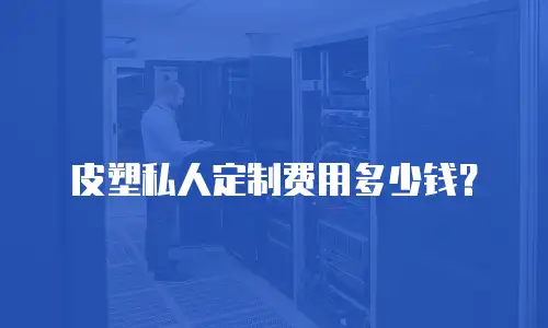 皮塑私人定制费用多少钱？