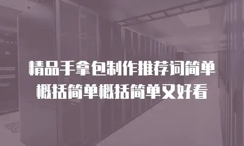 精品手拿包制作推荐词简单概括简单概括简单又好看