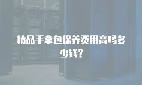 精品手拿包保养费用高吗多少钱？