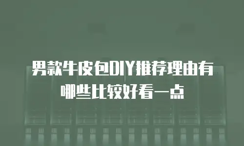 男款牛皮包DIY推荐理由有哪些比较好看一点