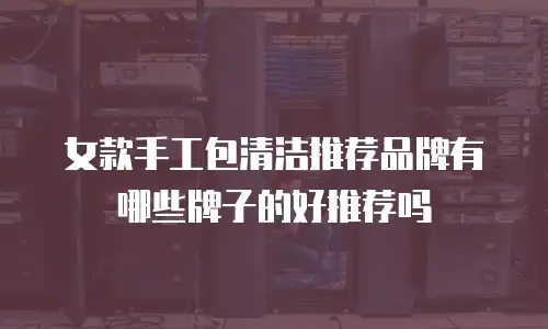 女款手工包清洁推荐品牌有哪些牌子的好推荐吗