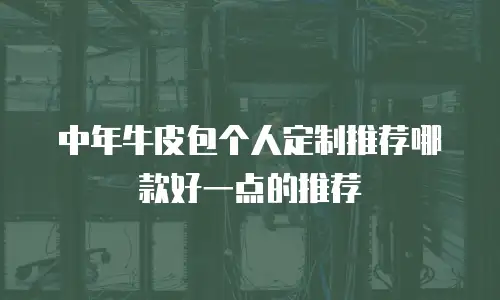 中年牛皮包个人定制推荐哪款好一点的推荐