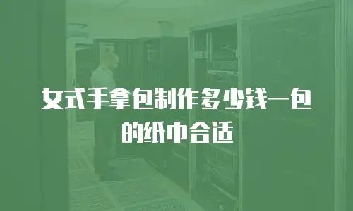 女式手拿包制作多少钱一包的纸巾合适