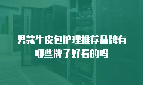男款牛皮包护理推荐品牌有哪些牌子好看的吗