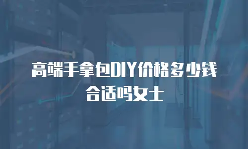 高端手拿包DIY价格多少钱合适吗女士