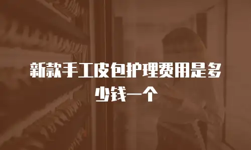 新款手工皮包护理费用是多少钱一个