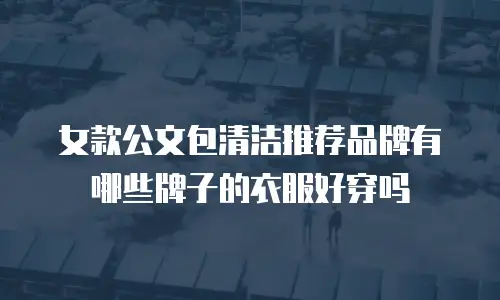 女款公文包清洁推荐品牌有哪些牌子的衣服好穿吗