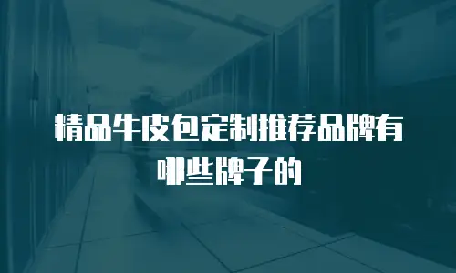 精品牛皮包定制推荐品牌有哪些牌子的