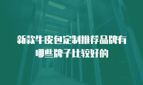 新款牛皮包定制推荐品牌有哪些牌子比较好的