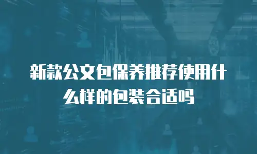 新款公文包保养推荐使用什么样的包装合适吗
