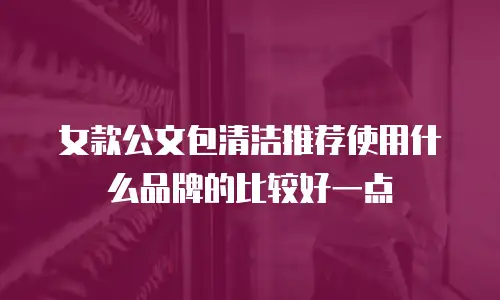 女款公文包清洁推荐使用什么品牌的比较好一点