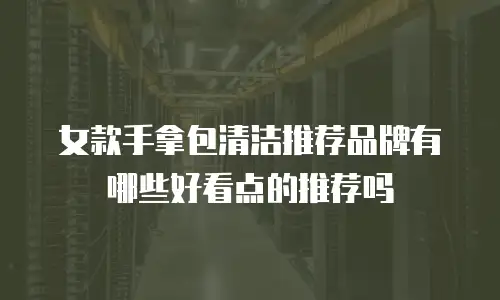 女款手拿包清洁推荐品牌有哪些好看点的推荐吗