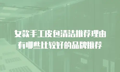 女款手工皮包清洁推荐理由有哪些比较好的品牌推荐