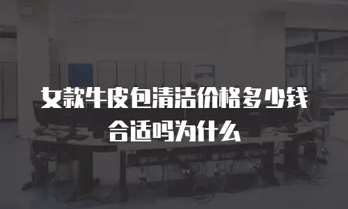 女款牛皮包清洁价格多少钱合适吗为什么