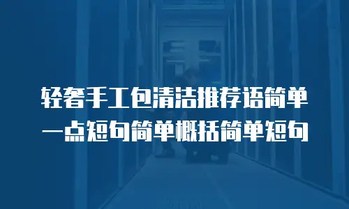 轻奢手工包清洁推荐语简单一点短句简单概括简单短句