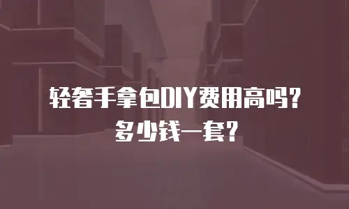 轻奢手拿包DIY费用高吗？多少钱一套？