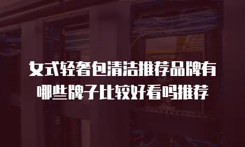 女式轻奢包清洁推荐品牌有哪些牌子比较好看吗推荐