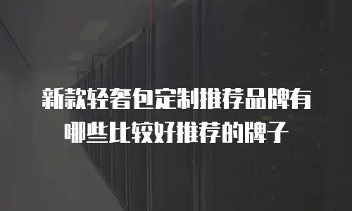 新款轻奢包定制推荐品牌有哪些比较好推荐的牌子