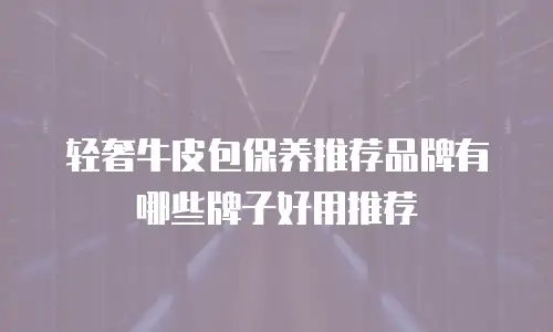 轻奢牛皮包保养推荐品牌有哪些牌子好用推荐