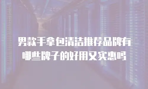 男款手拿包清洁推荐品牌有哪些牌子的好用又实惠吗