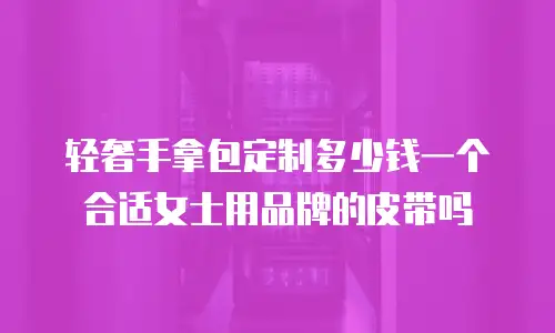 轻奢手拿包定制多少钱一个合适女士用品牌的皮带吗