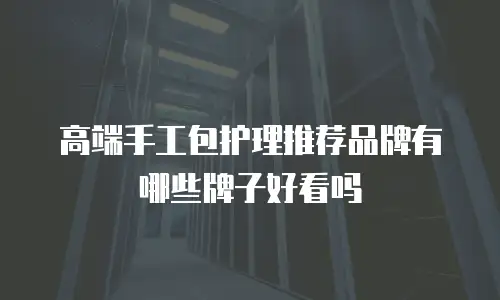 高端手工包护理推荐品牌有哪些牌子好看吗