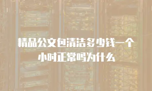 精品公文包清洁多少钱一个小时正常吗为什么