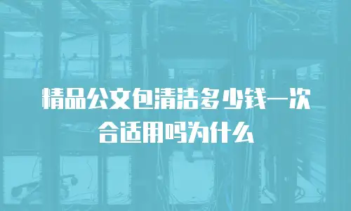 精品公文包清洁多少钱一次合适用吗为什么