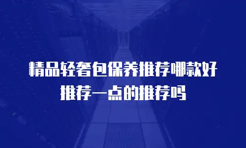 精品轻奢包保养推荐哪款好推荐一点的推荐吗