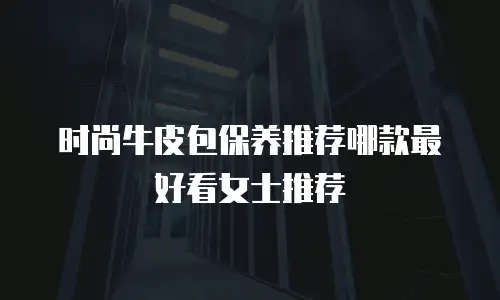时尚牛皮包保养推荐哪款最好看女士推荐