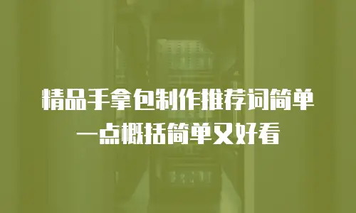 精品手拿包制作推荐词简单一点概括简单又好看