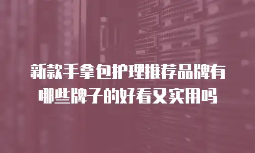 新款手拿包护理推荐品牌有哪些牌子的好看又实用吗