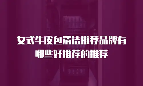 女式牛皮包清洁推荐品牌有哪些好推荐的推荐