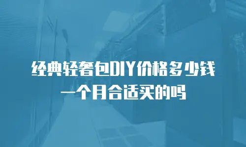 经典轻奢包DIY价格多少钱一个月合适买的吗