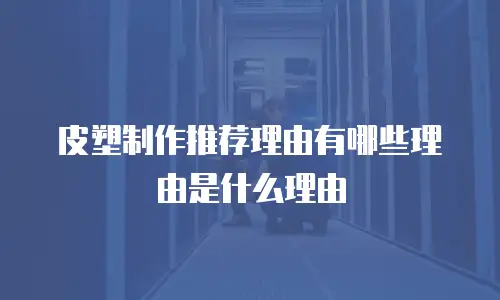 皮塑制作推荐理由有哪些理由是什么理由
