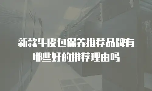 新款牛皮包保养推荐品牌有哪些好的推荐理由吗