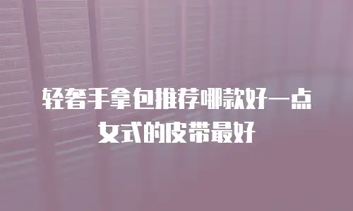 轻奢手拿包推荐哪款好一点女式的皮带最好