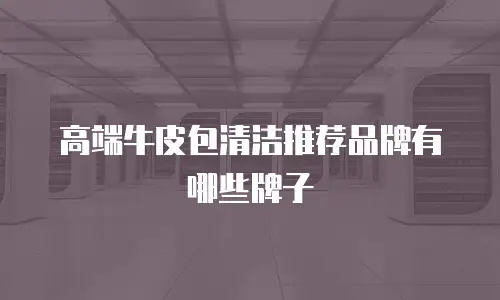 高端牛皮包清洁推荐品牌有哪些牌子