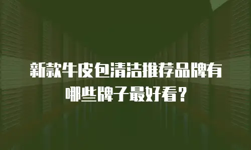 新款牛皮包清洁推荐品牌有哪些牌子最好看？