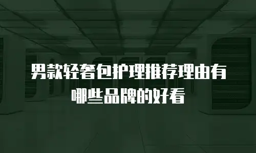 男款轻奢包护理推荐理由有哪些品牌的好看