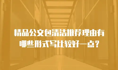 精品公文包清洁推荐理由有哪些形式写比较好一点？
