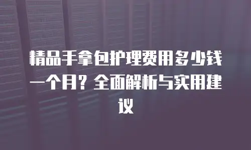 精品手拿包护理费用多少钱一个月？全面解析与实用建议